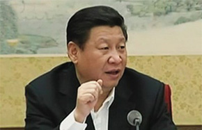 Xi stresses green development 