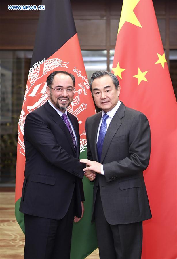 Chinese, Afghan FMs meet for closer cooperation 
