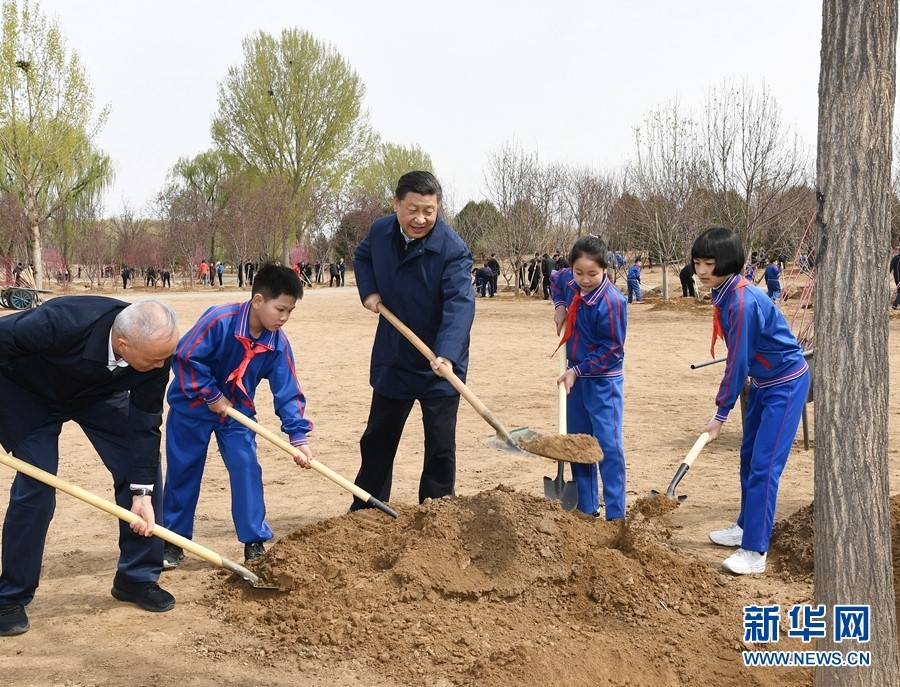 习近平：推动国土绿化不断取得实实在在的成效